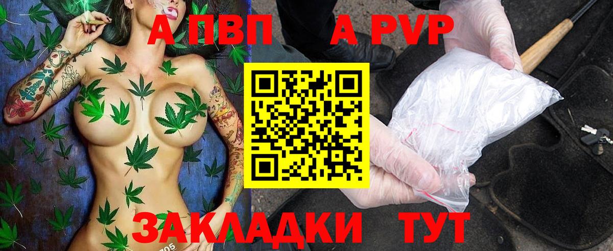 Альфа ПВП СК КРИС  APVP СК  Великий Устюг  Вход с VPN 