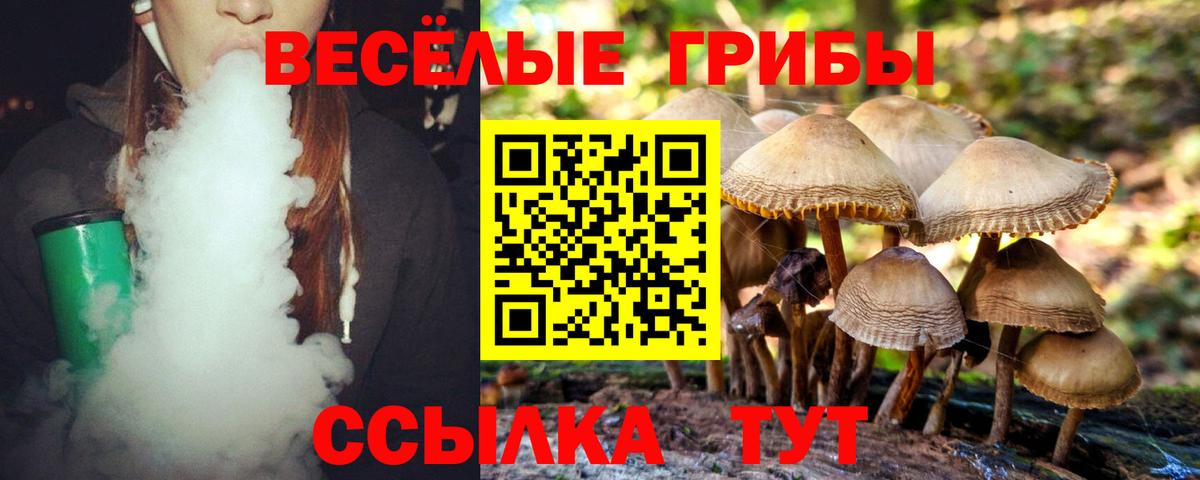 Псилоцибиновые грибы мухоморы Великий Устюг