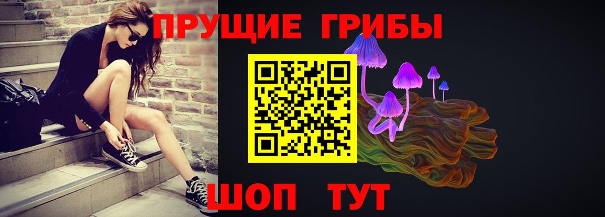 наркота  Вход с VPN  Великий Устюг  Галлюциногенные грибы Psilocybine cubensis 